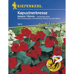 Kiepenkerl Kapuzinerkresse Kaiserin Viktoria Profi-Line