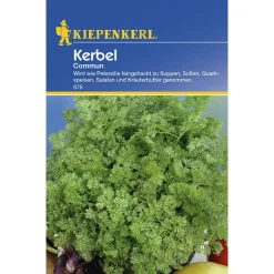 Kiepenkerl Kerbel Commun einjährig