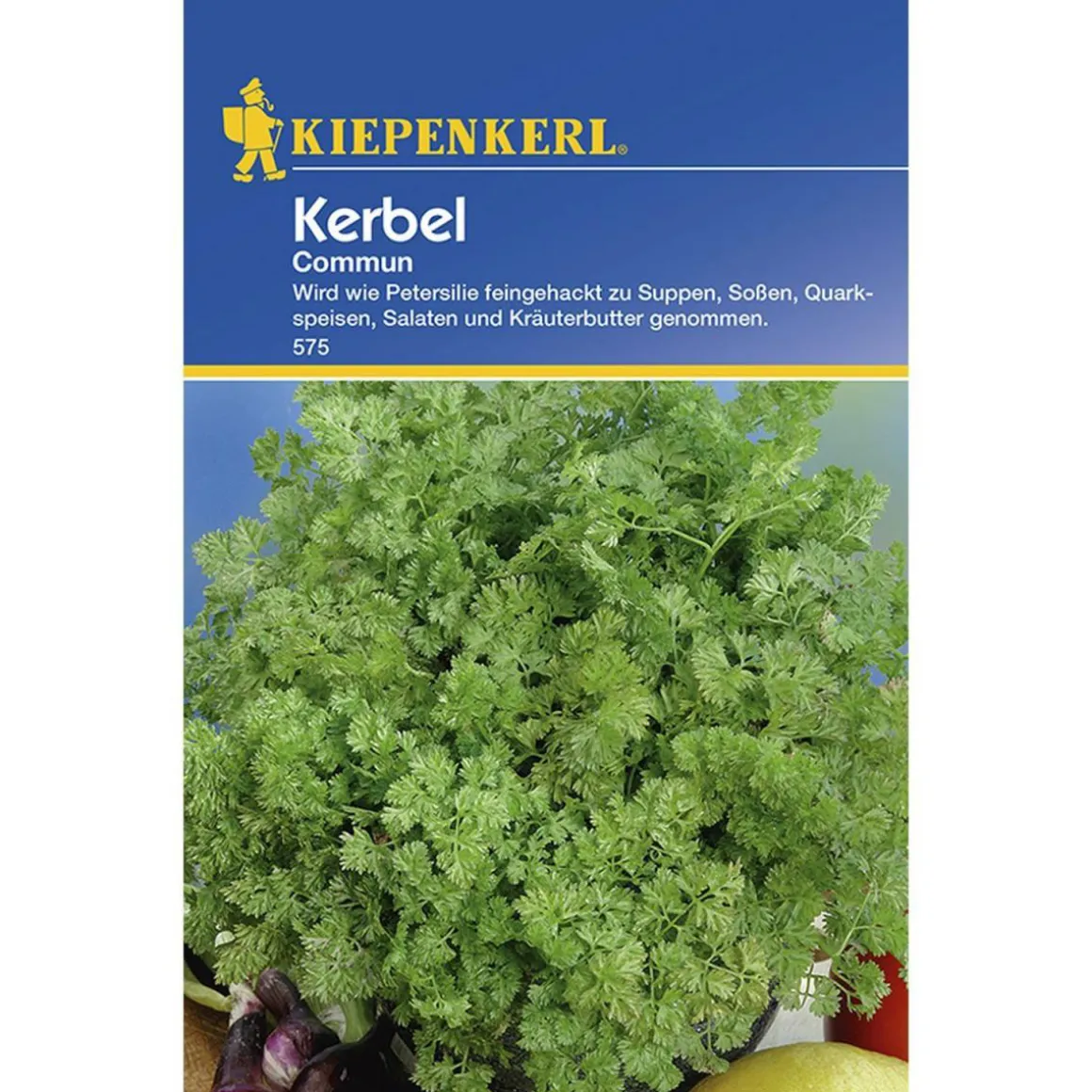 Kiepenkerl Kerbel Commun einjährig