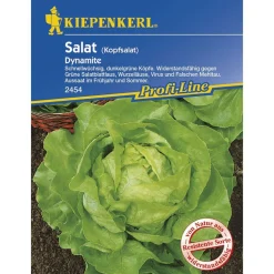 Kiepenkerl Kopfsalat Dynamite Profi-Line