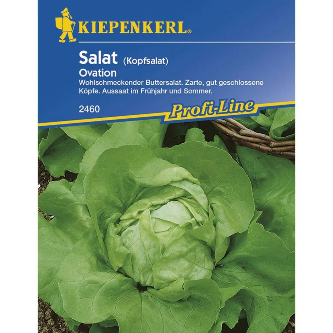 Kiepenkerl Kopfsalat Ovation Profi-Line