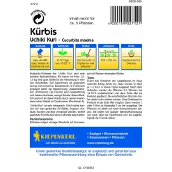 Kiepenkerl Kürbis Uchiki Kuri