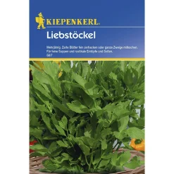 Kiepenkerl Liebstöckel Maggikraut
