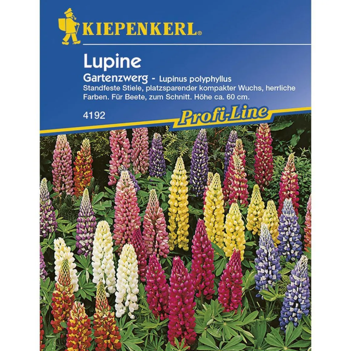 Kiepenkerl Lupinen Gartenzwerg Profi-Line