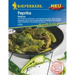 Kiepenkerl Paprika Padron