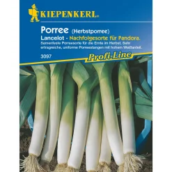 Kiepenkerl Porree Blaugrüner Herbst/Lancelot