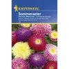 Kiepenkerl Prinzeß-Aster Callistephus Mischung