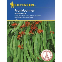 Kiepenkerl Prunkbohnen Rotblühende