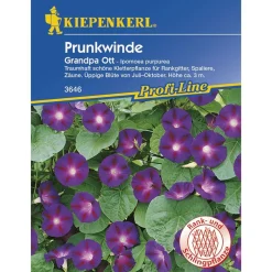 Kiepenkerl Prunkwinde Grandpa Ott Profi-Line