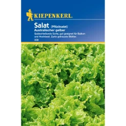 Kiepenkerl Salat Australischer gelber