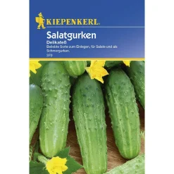 Kiepenkerl Salatgurken Delikateß