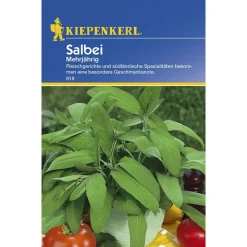 Kiepenkerl Salbei mehrjährig