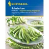 Kiepenkerl Schalerbsen Nebula Germana