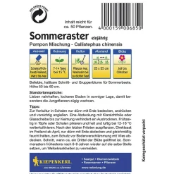 Kiepenkerl Sommeraster Pompon Mischung
