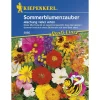 Kiepenkerl Sommerblumen-Zauber Mischung vieler Arten Profi-Line