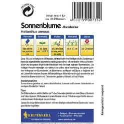 Kiepenkerl Sonnenblume Abendsonne