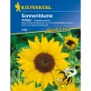 Kiepenkerl Sonnenblume Holiday