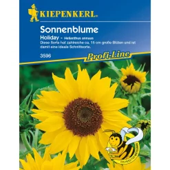 Kiepenkerl Sonnenblume Holiday