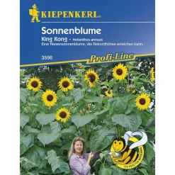 Kiepenkerl Sonnenblume King Kong