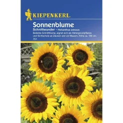 Kiepenkerl Sonnenblume Schnittwunder