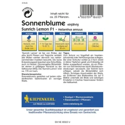 Kiepenkerl Sonnenblume Sunrich Lemon F1