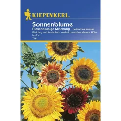 Kiepenkerl Sonnenblumen Helianthus riesenblütig