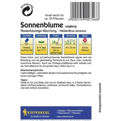 Kiepenkerl Sonnenblumen Helianthus riesenblütig