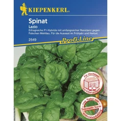 Kiepenkerl Spinat Lazio F1 Profi-Line