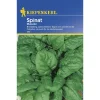 Kiepenkerl Spinat Matador