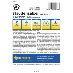 Kiepenkerl Staudensalbei Blaukönigin Profi-Line