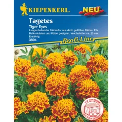 Kiepenkerl Studentenblume Tiger Eyes