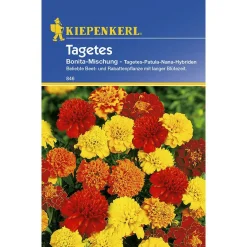 Kiepenkerl Tagetes Bonita-Mischung