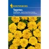 Kiepenkerl Tagetes Goldzwerg