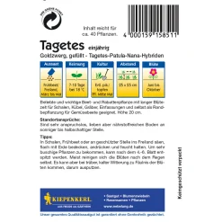 Kiepenkerl Tagetes Goldzwerg