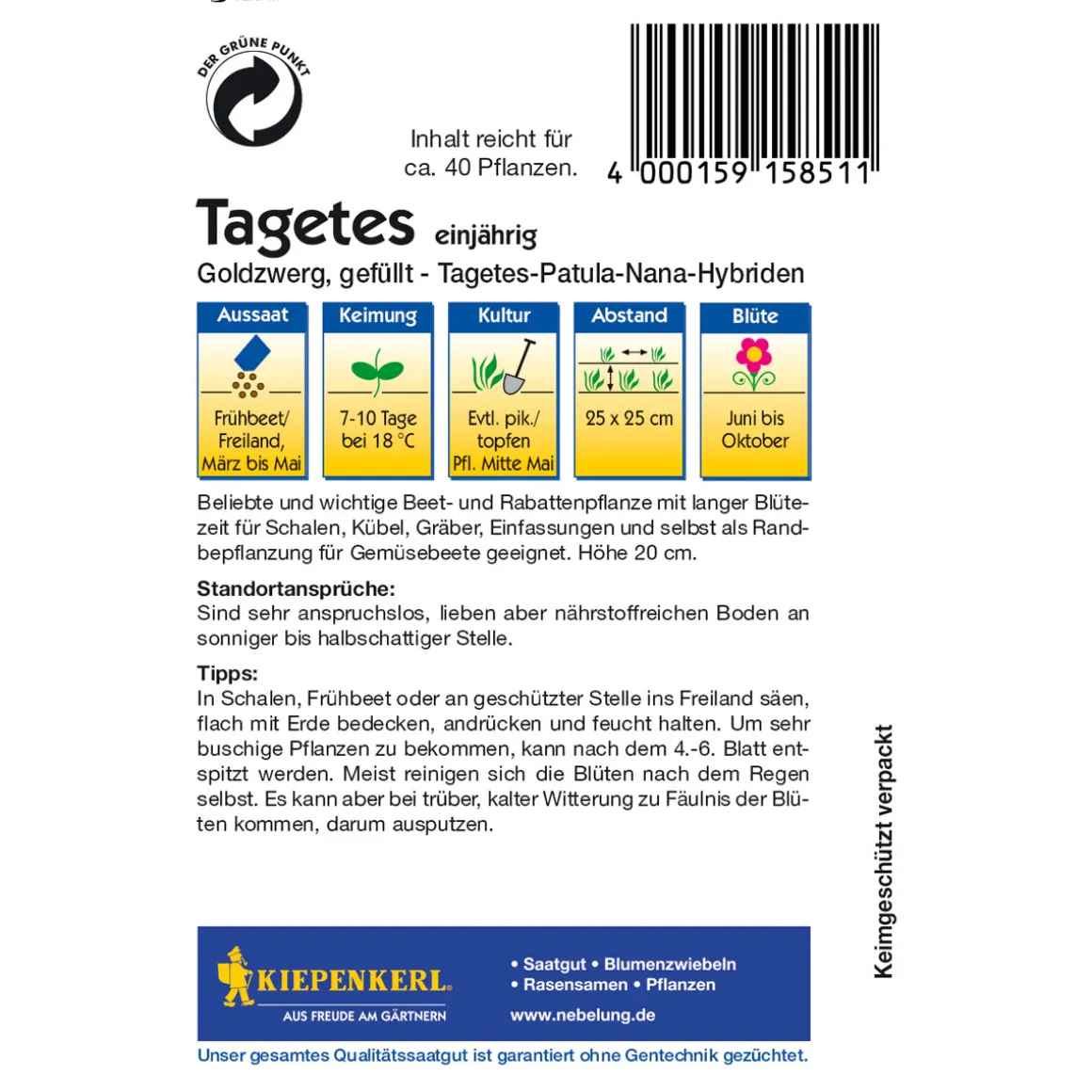 Kiepenkerl Tagetes Goldzwerg