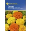 Kiepenkerl Tagetes hohe Mischung