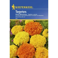 Kiepenkerl Tagetes hohe Mischung