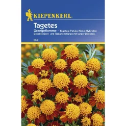 Kiepenkerl Tagetes Orangeflamme gefüllt