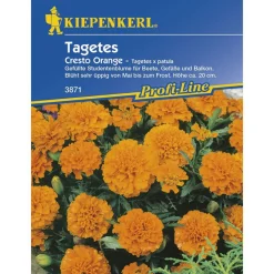 Kiepenkerl Tagetes patula Cresto Orange Profi-Line