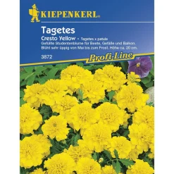 Kiepenkerl Tagetes patula Cresto Yellow Profi-Line