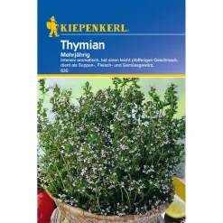 Kiepenkerl Thymian mehrjährig