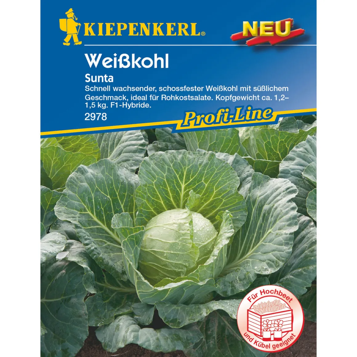 Kiepenkerl Weißkohl Sunta