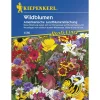 Kiepenkerl Wildblumen amerikanische Landblumenmischung Profi-Line