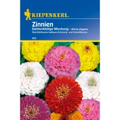 Kiepenkerl Zinnia Dahlienblütige Mischung