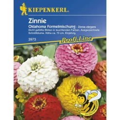 Kiepenkerl Zinnien Oklahoma-Formelmix Profi-Line