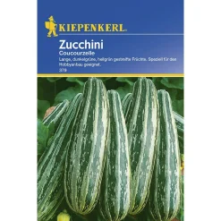 Kiepenkerl Zucchini Coucourzelle