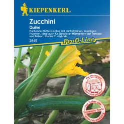 Kiepenkerl Zucchini Quine