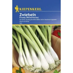 Kiepenkerl Zwiebeln Freddy Winterhecke