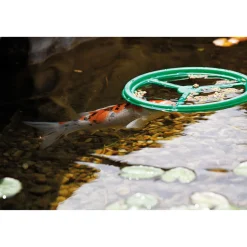 Oase Pontec Fütterungsring PondoFeed Ring