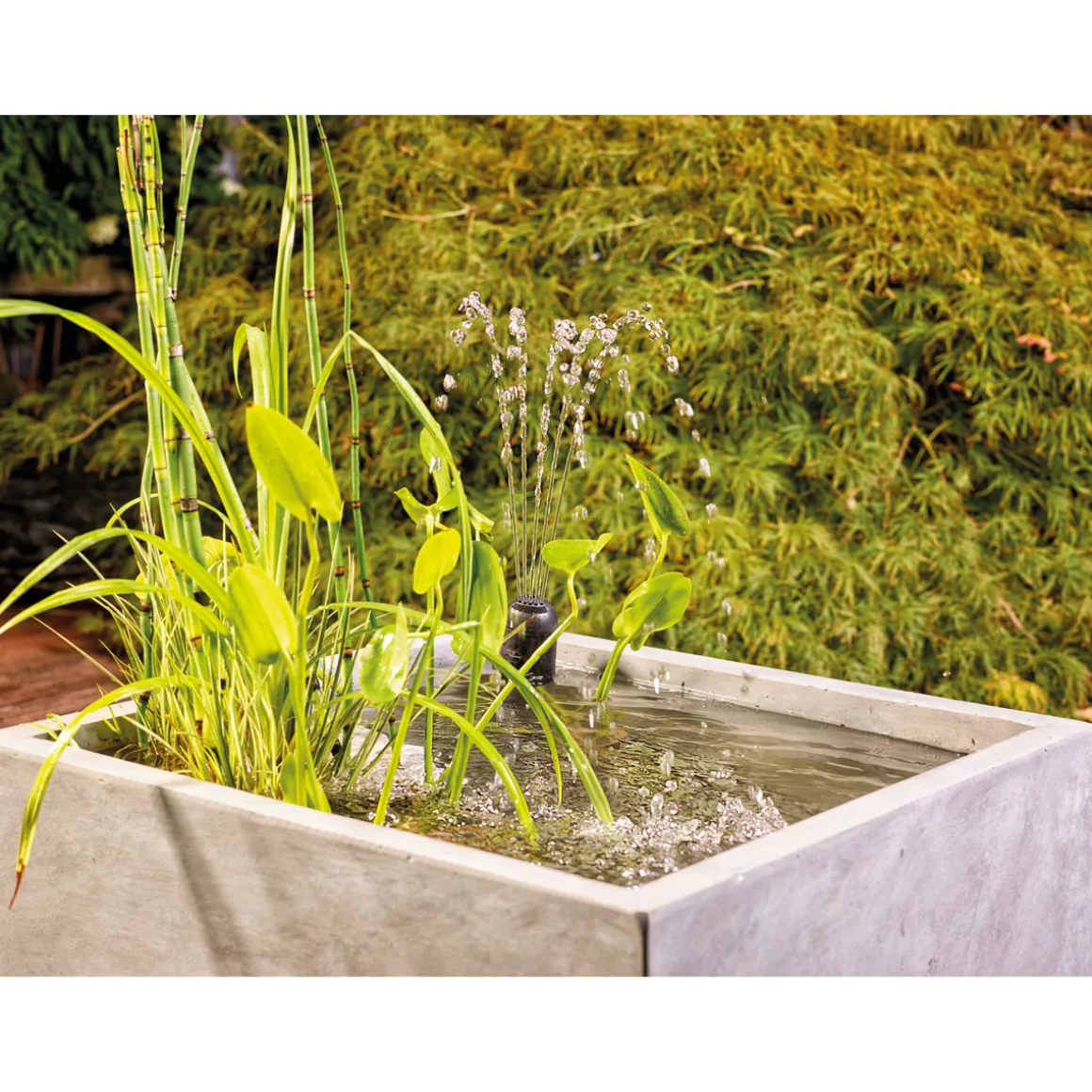 Oase Unterwasserfilter Filtral UVC 1500